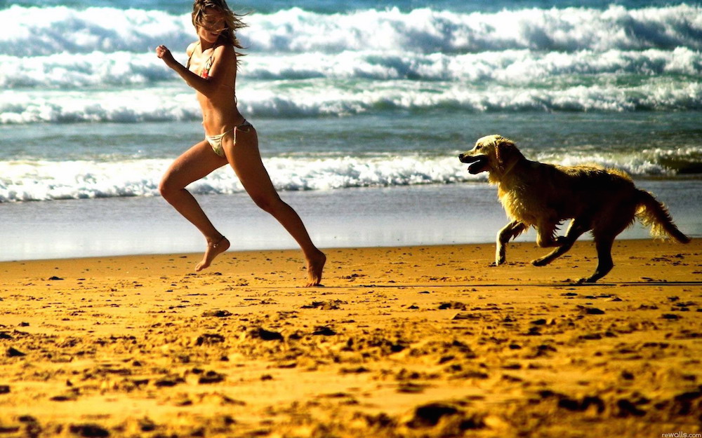 spiaggia-libera-cane.jpg