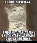 jcz8uu6o0s-e-quindi-sei-vegana-spiegami-tutta-la-carne-che-ti-entra-nella-vagina-come-la-giustif.jpg