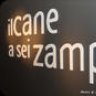 ilcanea6zampe