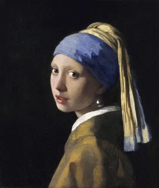 vermeer2.jpg