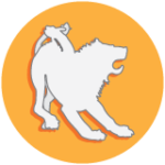 www.chimerarcobaleno.org