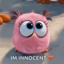 angry-birds-puppy-eyes.gif