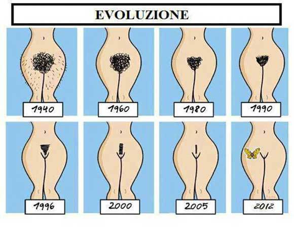 vagina-peli-evoluzione.jpg