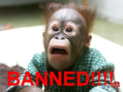 bannat10.jpg