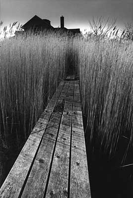 jean-loup-sieff.jpg