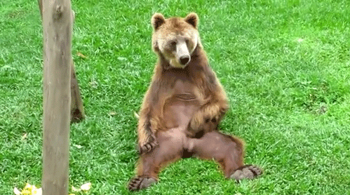 tumblr_o8w1em55qR1tyncywo1_500.gif
