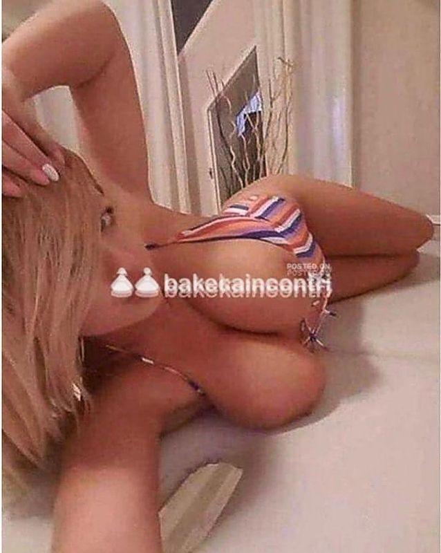 www.bakecaincontrii.com