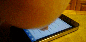 tumblr_miwr4qlMos1qzan69o1_400.gif