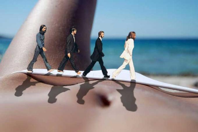 bikinibeetles.jpg