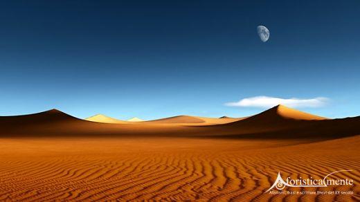 deserto_a_opt.jpg