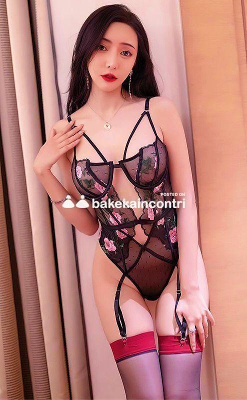 www.bakecaincontrii.com