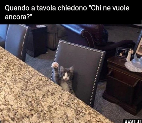 3e57e1b17b87acd2612cba3e1c2930007283.jpg