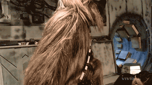 11.gif