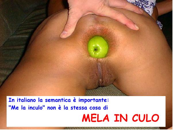 Semantica_ital.jpg