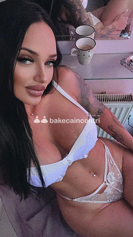 www.bakecaincontrii.com