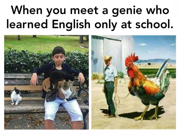 arnpwVgq_700w_0.jpg