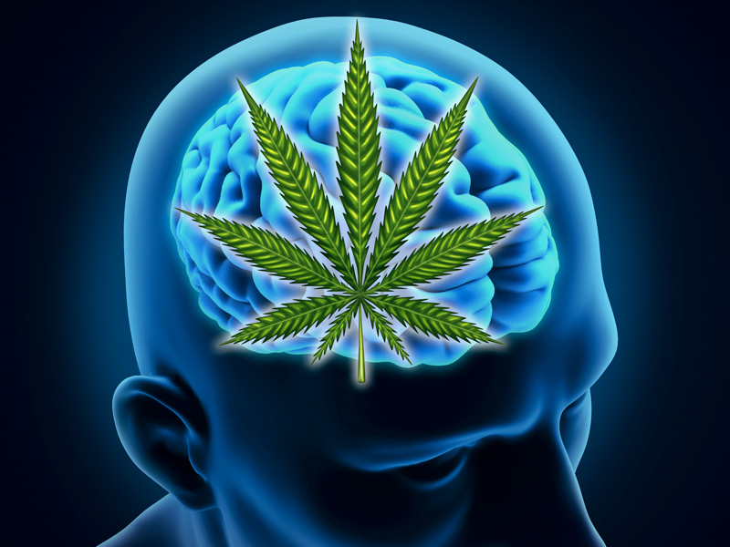 cannabis-cervello-anziani.jpg