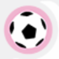 www.tifosipalermo.it