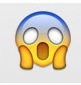 emoticon-munch-scream.jpg