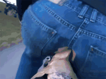 18253743_bici.gif