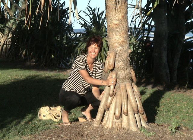 Albero%20della%20Felicita.jpg