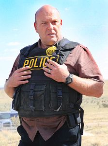 80a1db6bf45740442da330136b22a0a4--hank-schrader-bad-photos.jpg