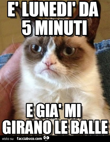 854zl0kc8h-lunedi-da-5-minuti-e-gia-mi-girano-le-balle_a.jpg