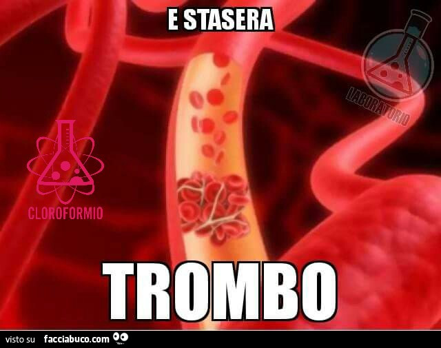 l2u4ixptu4-e-stasera-trombo-vaccata_a.jpg