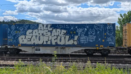a34mrer_460swp.webp