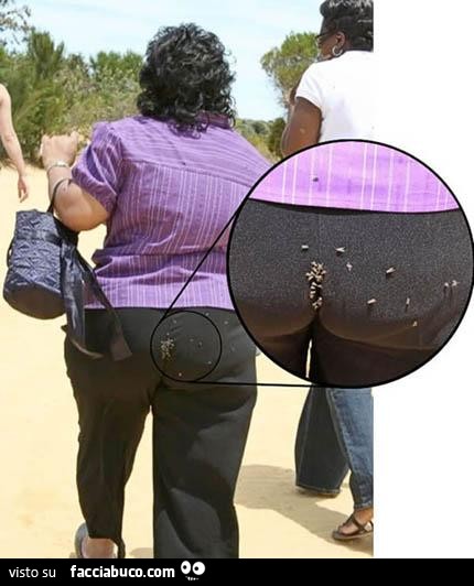 rj344tioie-culona-con-le-mosche-sul-sedere-vaccata_a.jpg