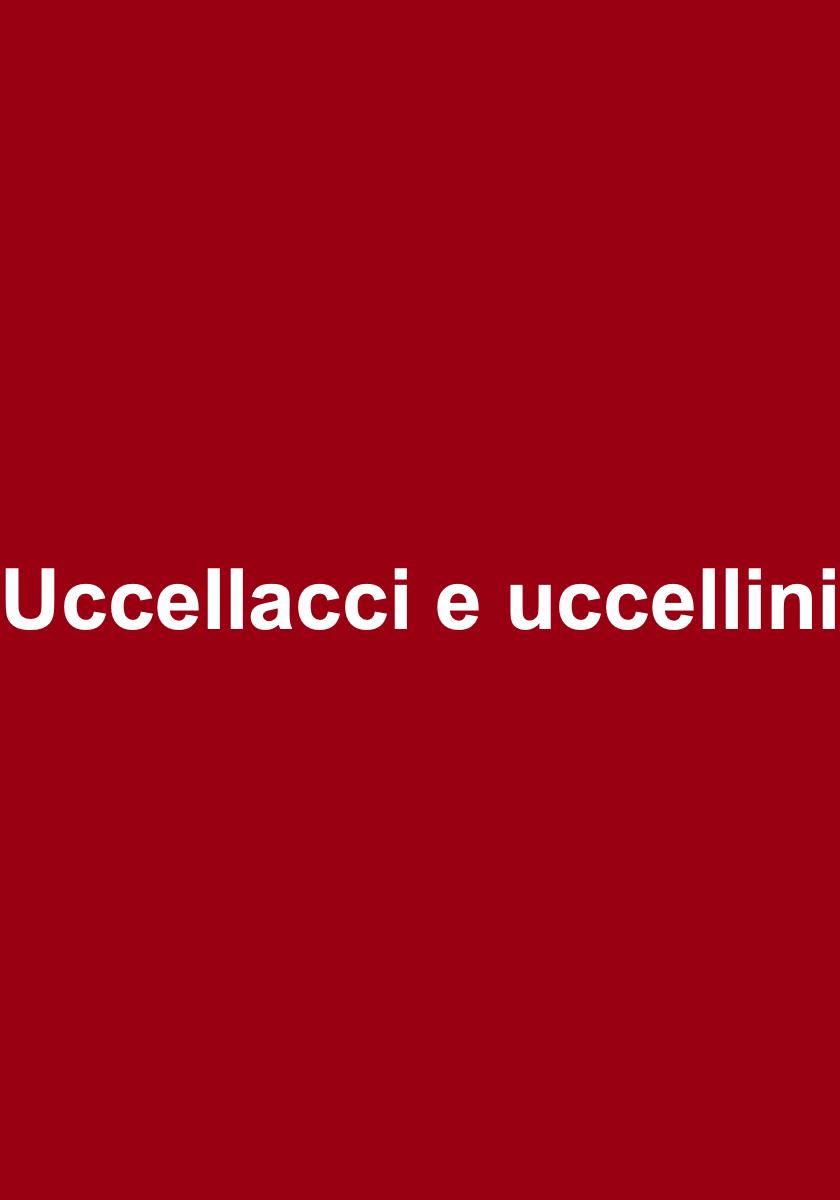 Uccellacci_e_uccellini.jpg