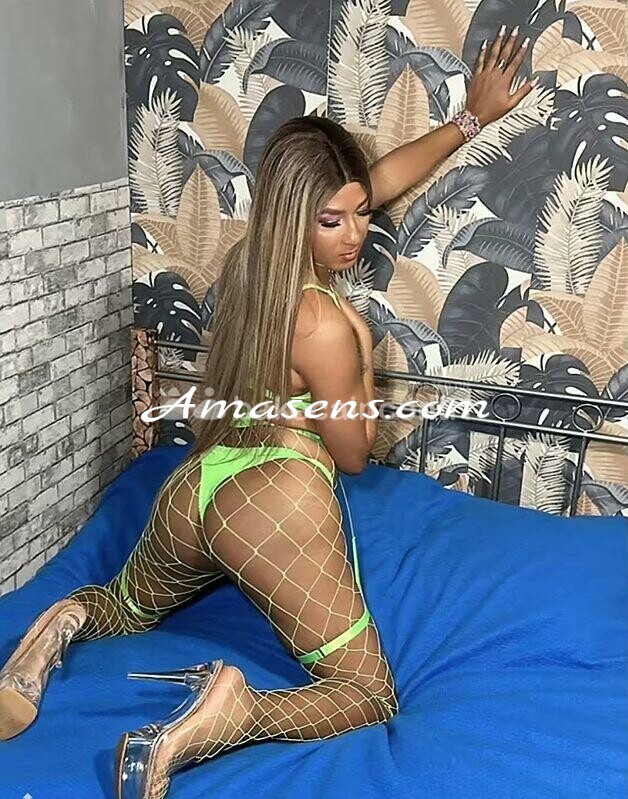 amasens.com