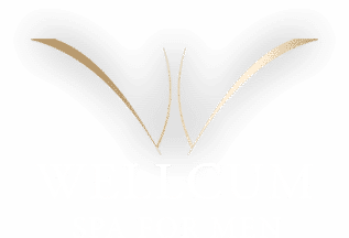 wellcum.at