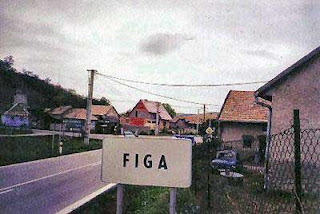 figa.jpg