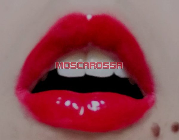 m.moscarossa.biz