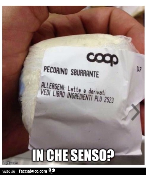 7le0sfy1lb-pecorino-sburrante-coop-in-che-senso-vaccata_a.jpg