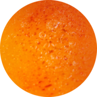 www.peachyescorts.co.uk