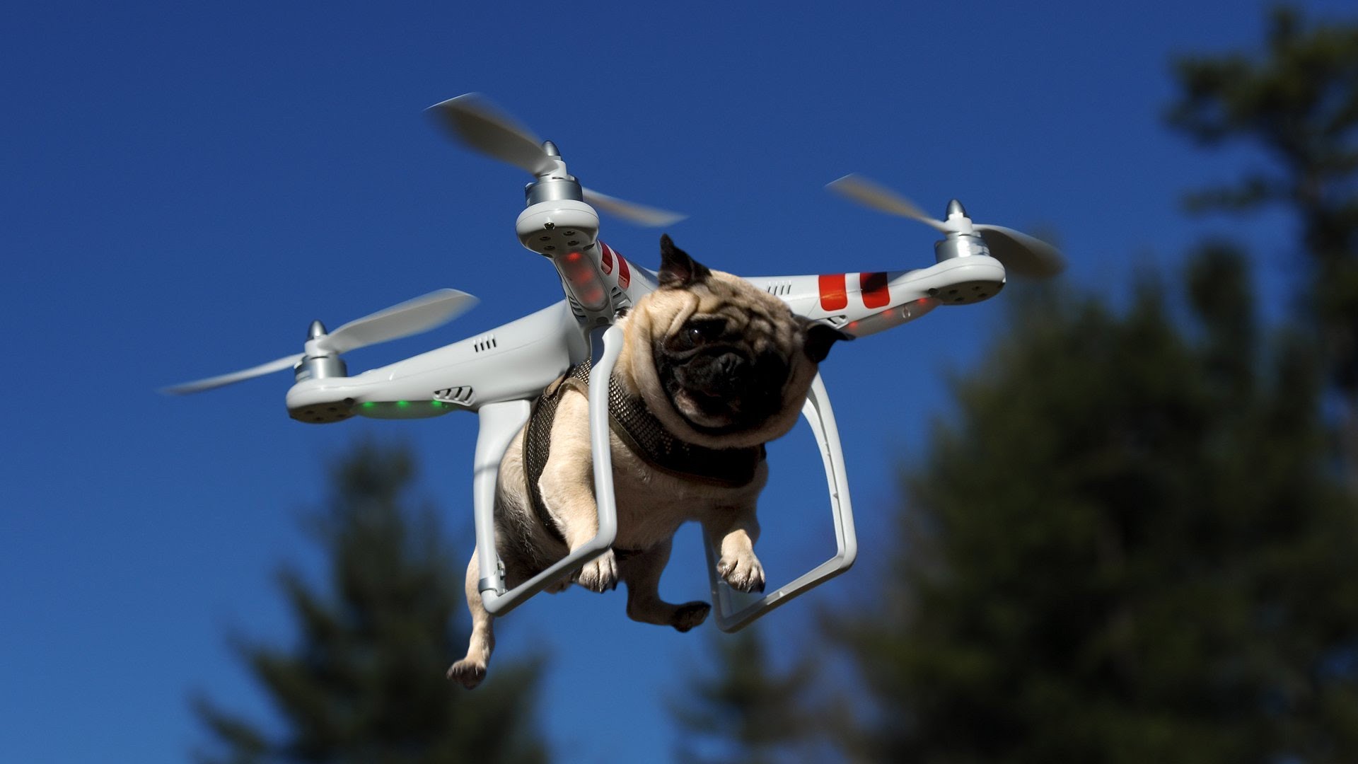 Drone.jpg