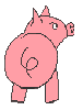 0005039.gif