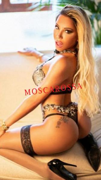 www.moscarossa.biz