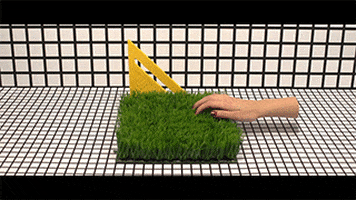 surreal grass GIF by Mina Mir