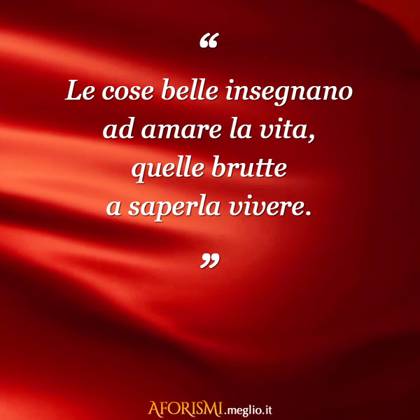 le-cose-belle-insegnano-ad-amare-la-vita.jpg