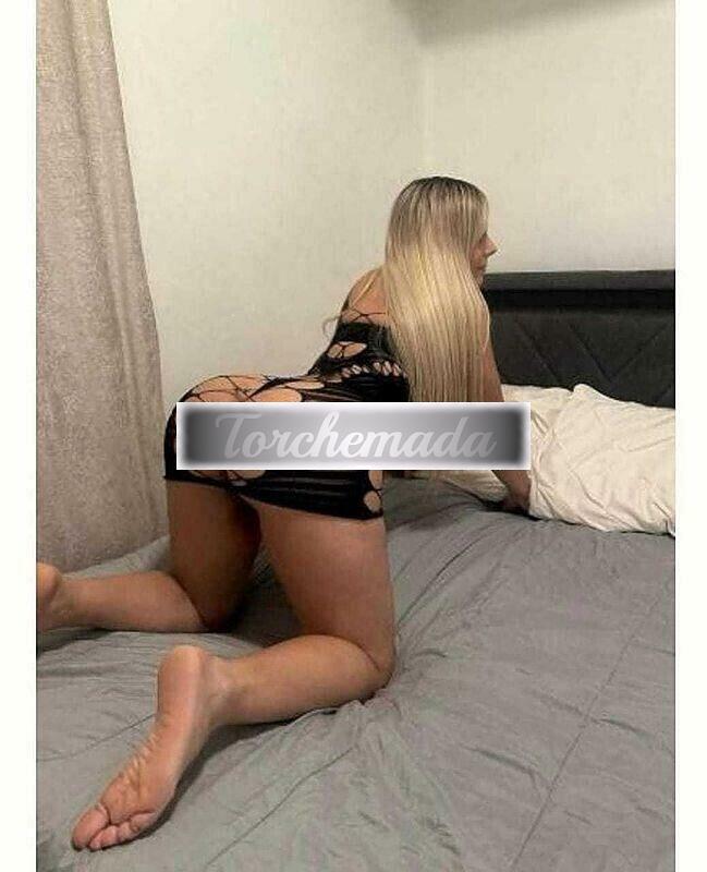 www.torchemada.net