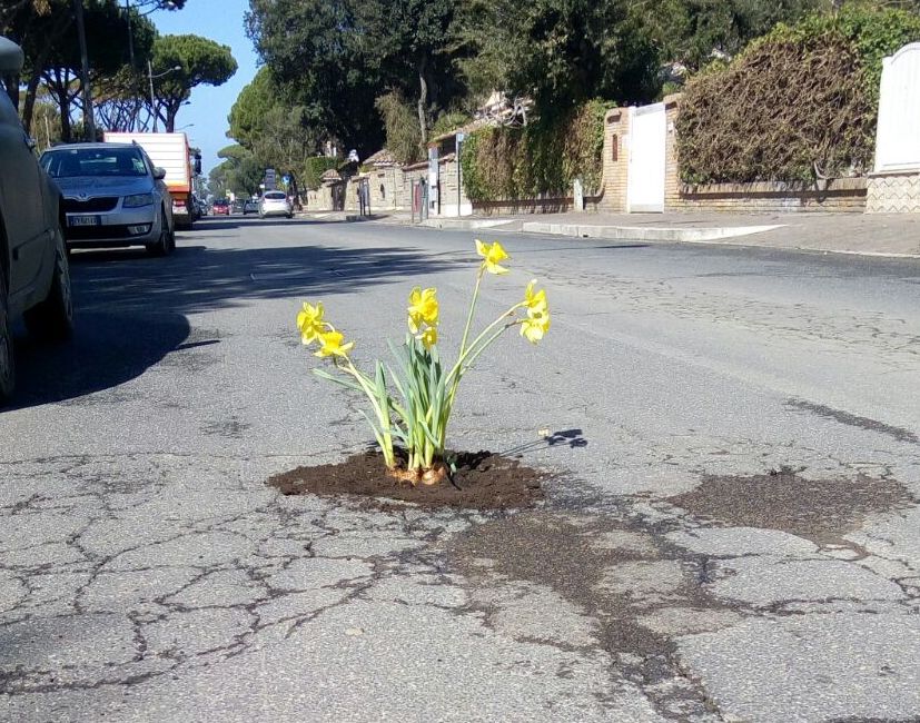 Fiori-in-strada-k.jpg