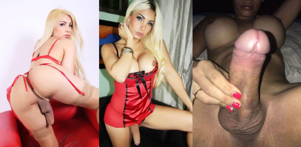 videosdetravestis.net