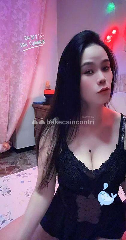 www.bakecaincontrii.com
