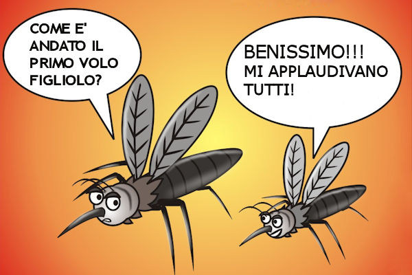 vignetta117.jpg