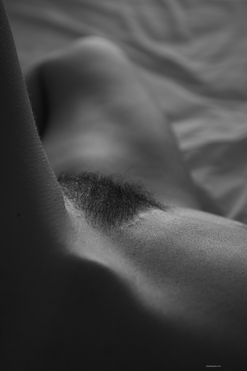 tumblr_nk4e16u2S21unc01ao1_1280.jpg