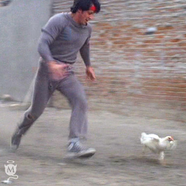 rockychicken.jpg