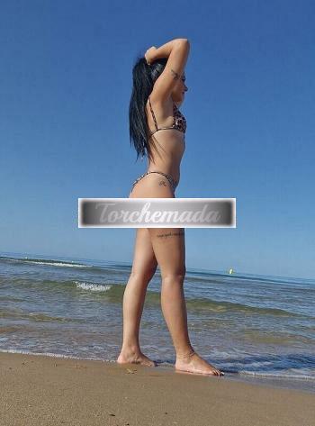 www.torchemada.net